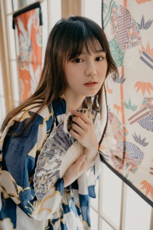 平原烽火下载